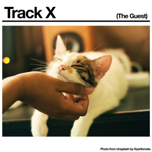 Track X (The Guest) - Black Country, New Road