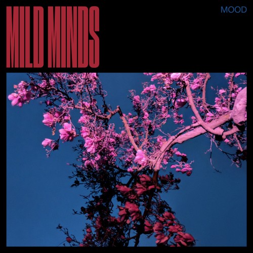 MOOD - Mild Minds