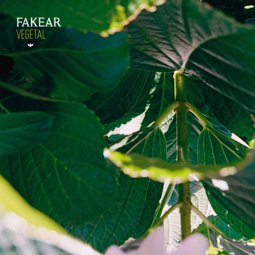 Vegetal: Offshoots EP - Fakear